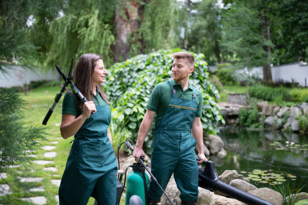 Professional landscaping team working on premium garden design with modern tools and equipment